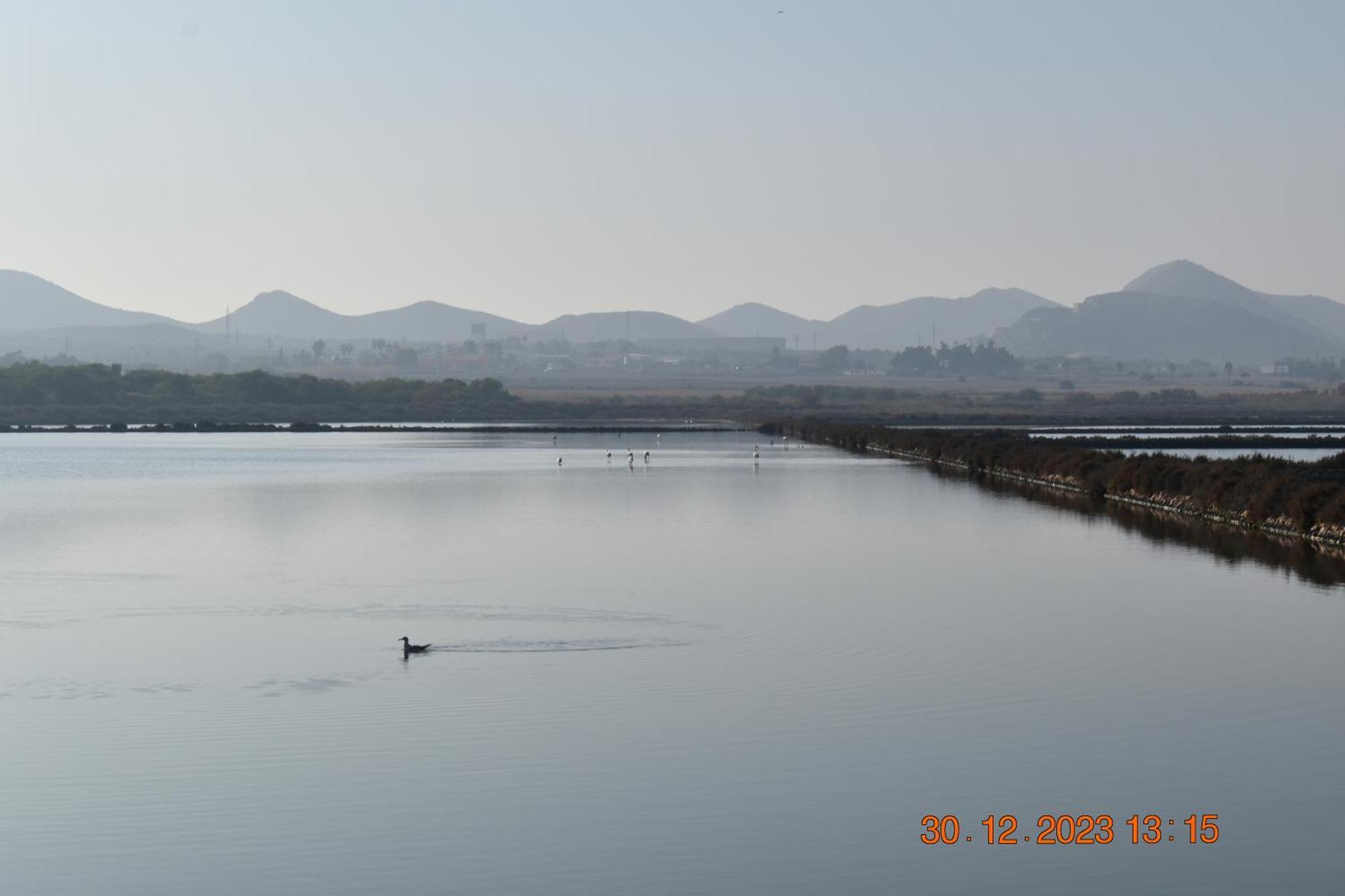Apart Turisticos Marine Rest La Manga Mar Menor Piscinas Privadas Playa Paraiso  외부 사진