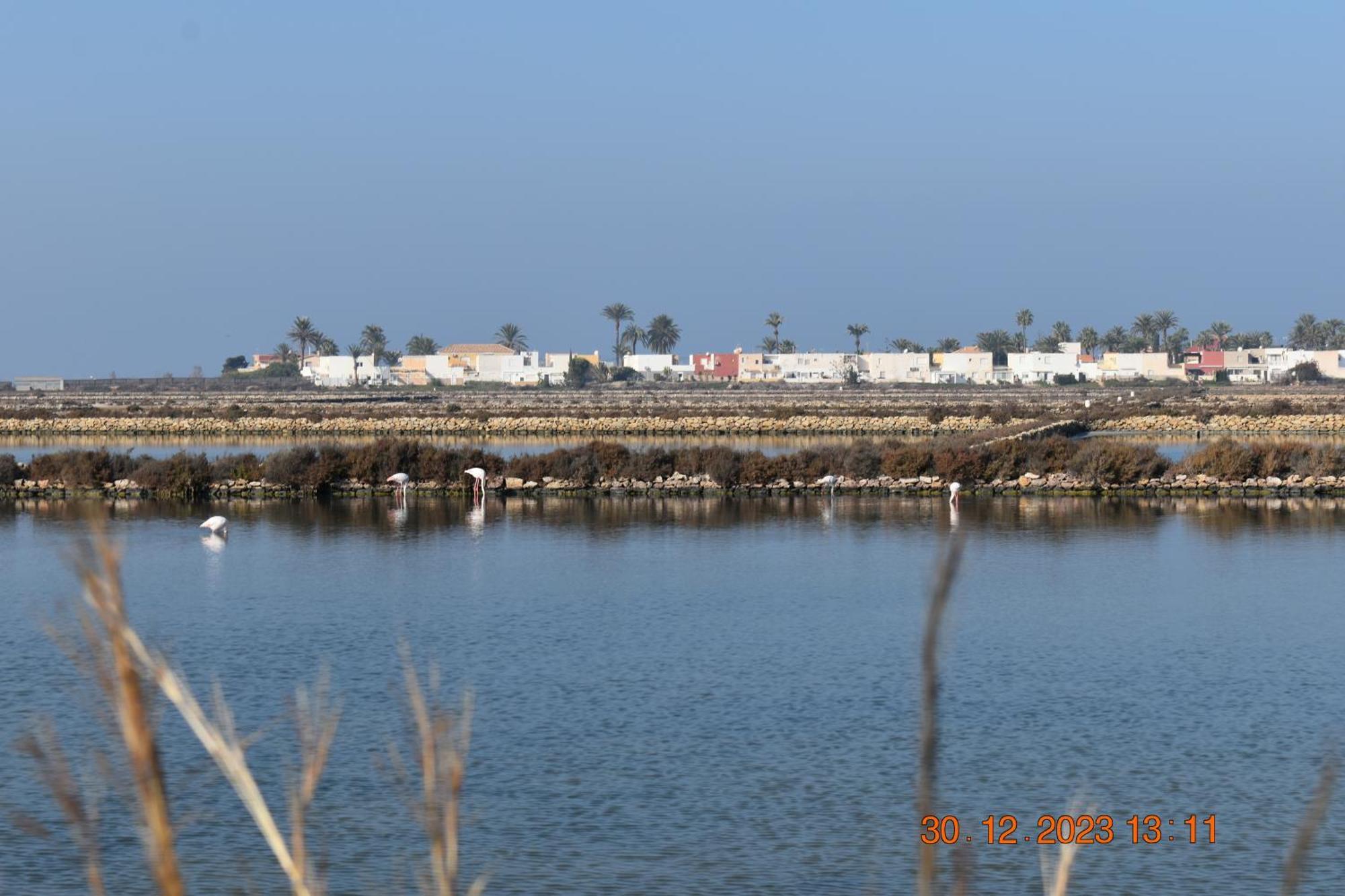 Apart Turisticos Marine Rest La Manga Mar Menor Piscinas Privadas Playa Paraiso  외부 사진